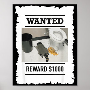 Grappige Dronken Wasbeer Gezocht Beloning $1000 Vu Poster