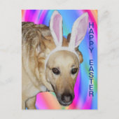 Grappige Duitse Herder Hond & Paashaas Ooren Feestdagenkaart (Voorkant)