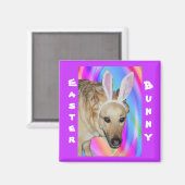 Grappige Duitse Herder Hond & Paashaas Ooren Magneet (Voorkant / Achterkant)