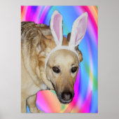 Grappige Duitse Herder Hond & Paashaas Ooren Poster (Voorkant)
