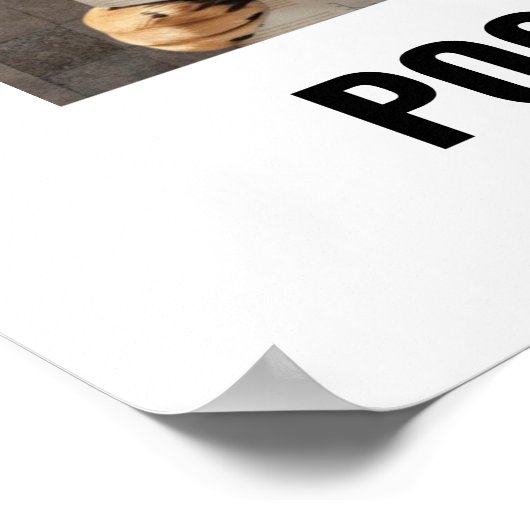 Grappige Duitse herder zittend op wc muur kunst Poster (Hoek)