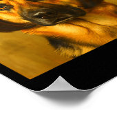 Grappige Duitse Herdershond Bob Kapsel Hond Meme M Poster (Hoek)