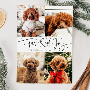 Grappige echte hondengeluks kerstfoto wit feestdagenkaart