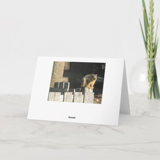 Grappige Eekhoorn Humor Vriendschap Kaart (Achterkant)