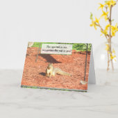 Grappige Eekhoorn Humor Vriendschap Kaart (Gele Bloem)