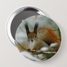 Grappige eekhoorn in de winter ronde button 4,0 cm