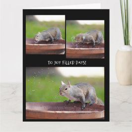 Grappige eekhoorn met pensioen van de groep kaart