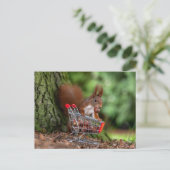 Grappige Eekhoorn met Winkelwagen - Eekhoorn Humor Briefkaart (Staand voorkant)