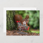 Grappige Eekhoorn met Winkelwagen - Eekhoorn Humor Briefkaart (Voorkant / Achterkant)