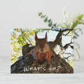 Grappige Eekhoorn Schattige Dieren Hallo Daar van  Feestdagenkaart (Staand voorkant)