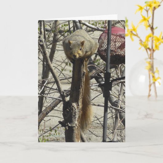 Grappige eekhoorn vriendschap kaart (Gele Bloem)