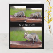 Grappige eekhoornpensioen van de groep kaart (Gele Bloem)