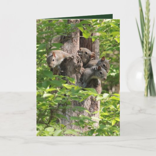 Grappige Eekhoorns Animal Custom Text Vaderdag Kaart (Voorkant)