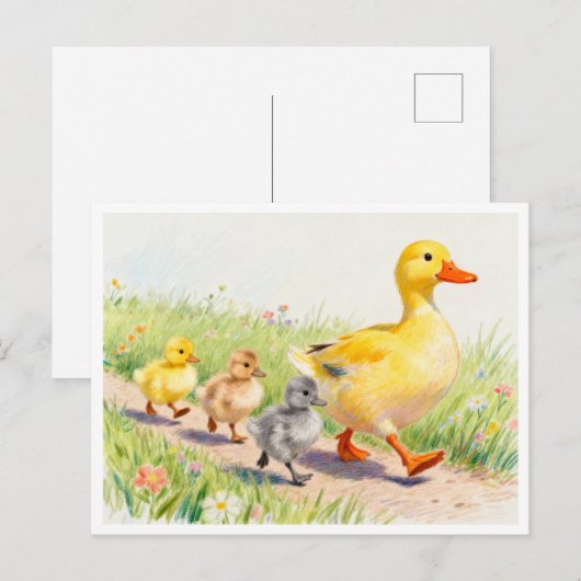 Grappige eend en eendjes briefkaart (Voorkant / Achterkant)