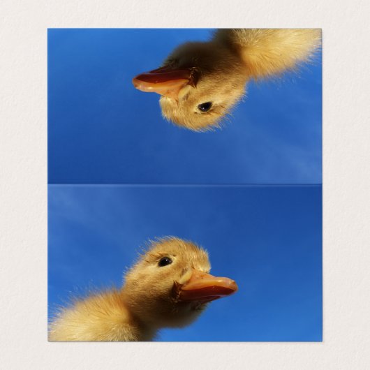 grappige eend in blauwe kaart visitekaartje (Buitenkant ongevouwen)