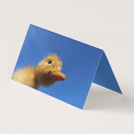 grappige eend in blauwe kaart visitekaartje (Achterkant)