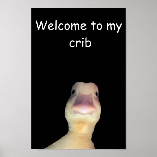 Grappige Eend Meme: Welkom in Mijn Huis Eend Poster (Voorkant)