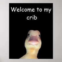 Grappige Eend Meme: Welkom in Mijn Huis Eend