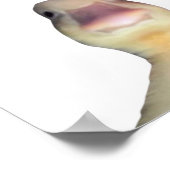 Grappige Eend Meme – “Welkom in Mijn Huis” Schatti Poster (Hoek)