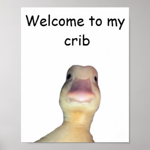Grappige Eend Meme – “Welkom in Mijn Huis” Schatti Poster