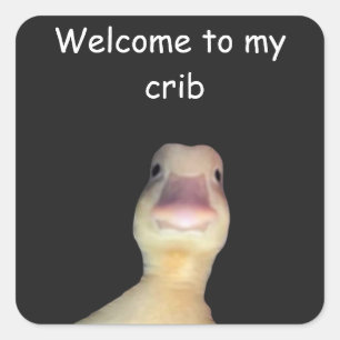 Grappige Eend Meme – “Welkom in Mijn Huis” Schatti Vierkante Sticker