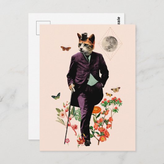 Grappige elegante kat briefkaart (Voorkant / Achterkant)