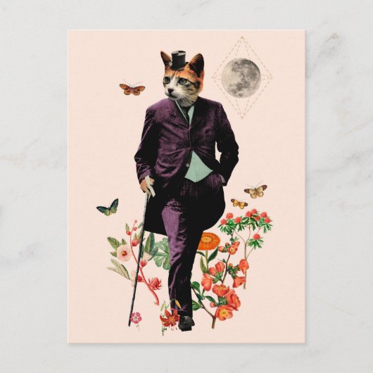 Grappige elegante kat briefkaart (Voorkant)