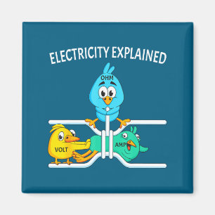 Grappige elektricien voor mannen vrouwen elektrici magneet