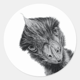 Grappige Emu Gezicht Sticker   Zwart-wit Vogel Kun