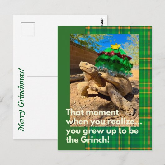 Grappige en feestelijke Grinch Sulcata schildpad v Briefkaart (Voorkant / Achterkant)