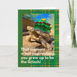 Grappige en Feestelijke Grinch Sulcata Schildpad V Kaart