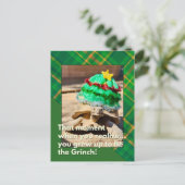 Grappige en feestelijke Grinch Tortoise Kerstmis Briefkaart (Staand voorkant)