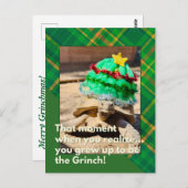 Grappige en feestelijke Grinch Tortoise Kerstmis Briefkaart (Voorkant / Achterkant)