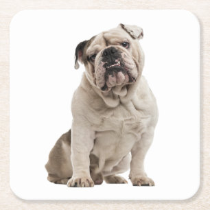 Grappige Engelse Bulldog Cadeaus Puppy Hond Liefhe Kartonnen Onderzetters
