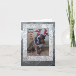 Grappige Engelse bulldog kerstkaart! Feestdagen Kaart