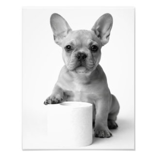 Grappige esthetische Franse Bulldog WC-papier Foto Afdruk