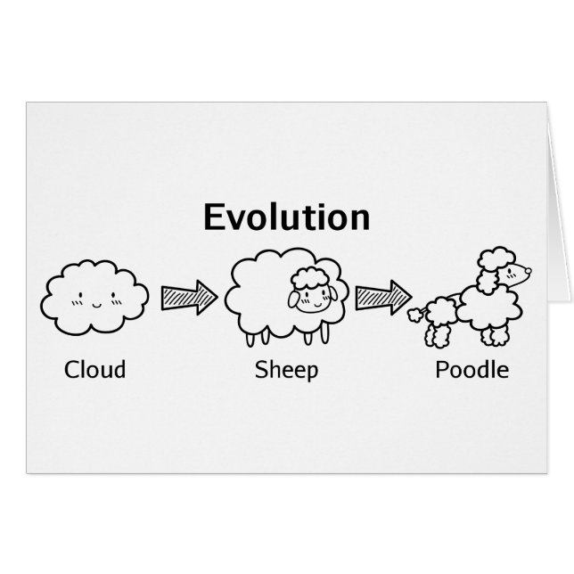 Grappige evolutie van wolk naar schaap en poedel (Voorkant Horizontaal)