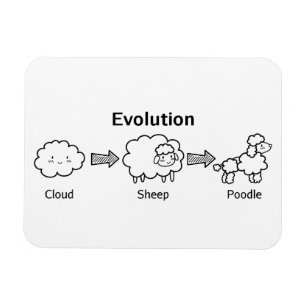 Grappige evolutie van wolk naar schaap en poedel magneet