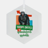 Grappige evolutionaire biologie chimpansee humor glas ornament (Achterkant)