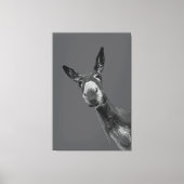 Grappige Ezel Grijswaarde Portret Kunst Canvas Afdruk (Voorkant)