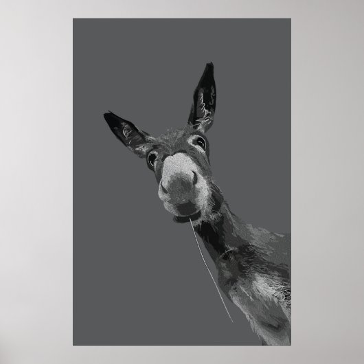Grappige Ezel Grijswaarde Portret Kunst Poster (Voorkant)