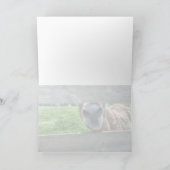 Grappige ezel "Ik mis je" Blank Bedankkaart (Binnen)