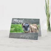 Grappige ezel "Ik mis je" Blank Bedankkaart (Voorkant)