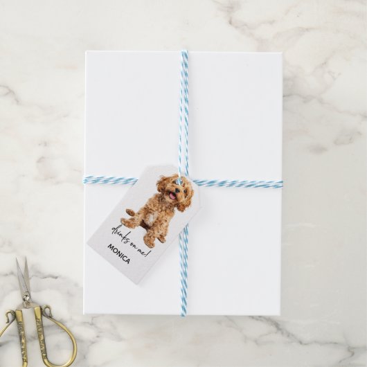 Grappige feestbar decoratiekussen cadeaulabel (Met Touw)