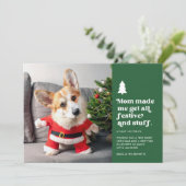 Grappige feestelijke huisdier foto kerst feestdagenkaart (Staand voorkant)