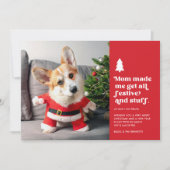 Grappige feestelijke huisdier foto kerst feestdagenkaart (Voorkant)