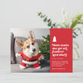 Grappige feestelijke huisdier foto kerst feestdagenkaart (Staand voorkant)