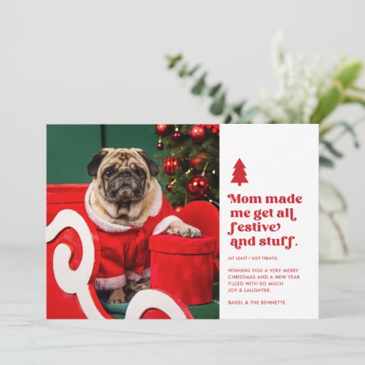 Grappige feestelijke huisdier foto kerst | Wit Feestdagenkaart (Staand voorkant)