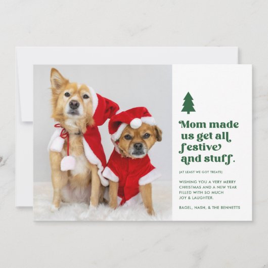 Grappige feestelijke meervoud huisdieren foto Kers Feestdagenkaart (Voorkant)