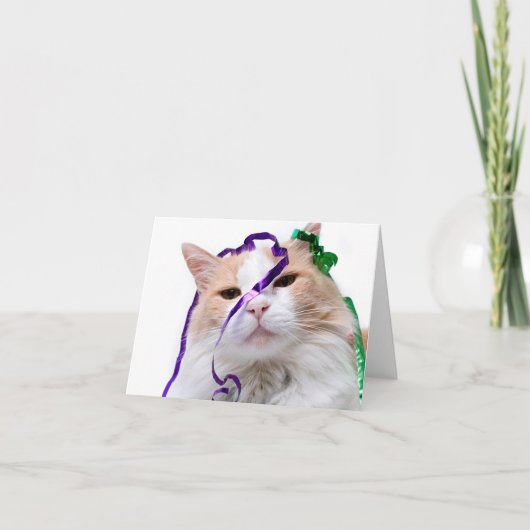 Grappige feestkat  kaart (Voorkant)